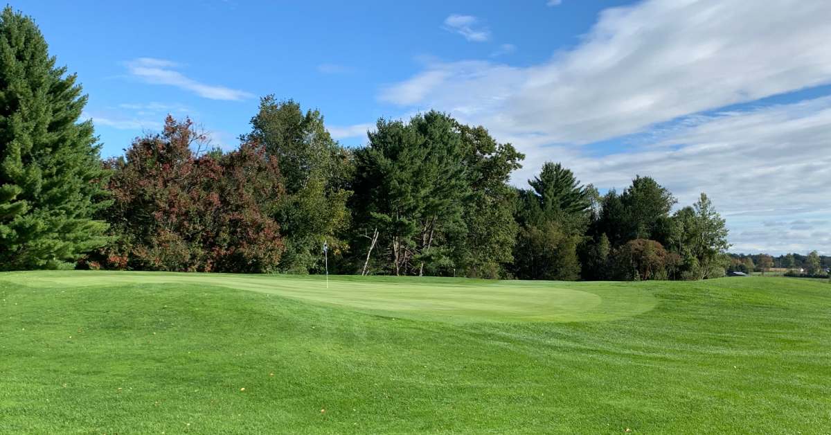 grassy golf course with trees in the background