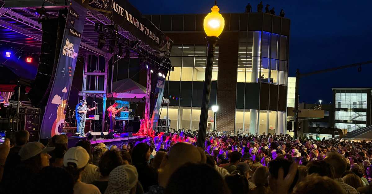 crowd at an outdoor city concert