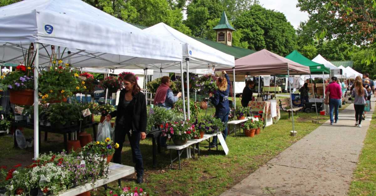people shopping at a farmers market outdoors
