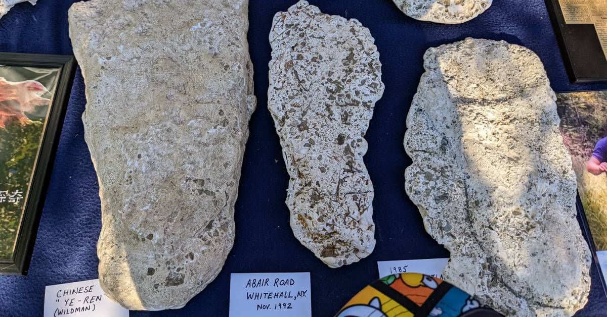 bigfoot plaster footprints on display
