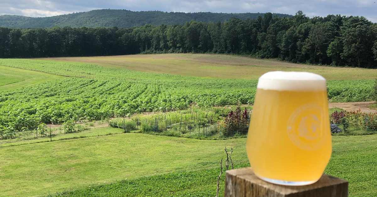 beer glass of a farm fence post