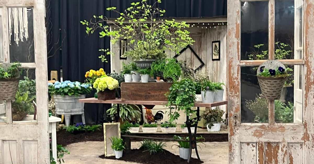 an indoor garden display