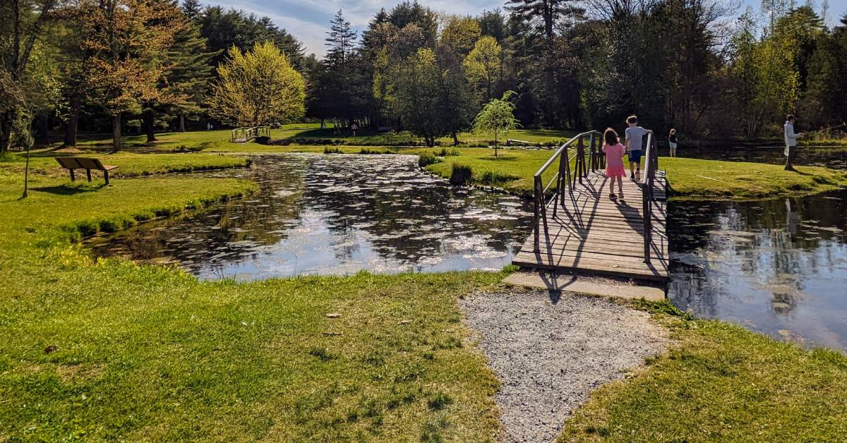 crandall pond with bridge in crandall park
