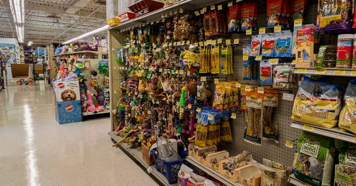 benson's pet center inside