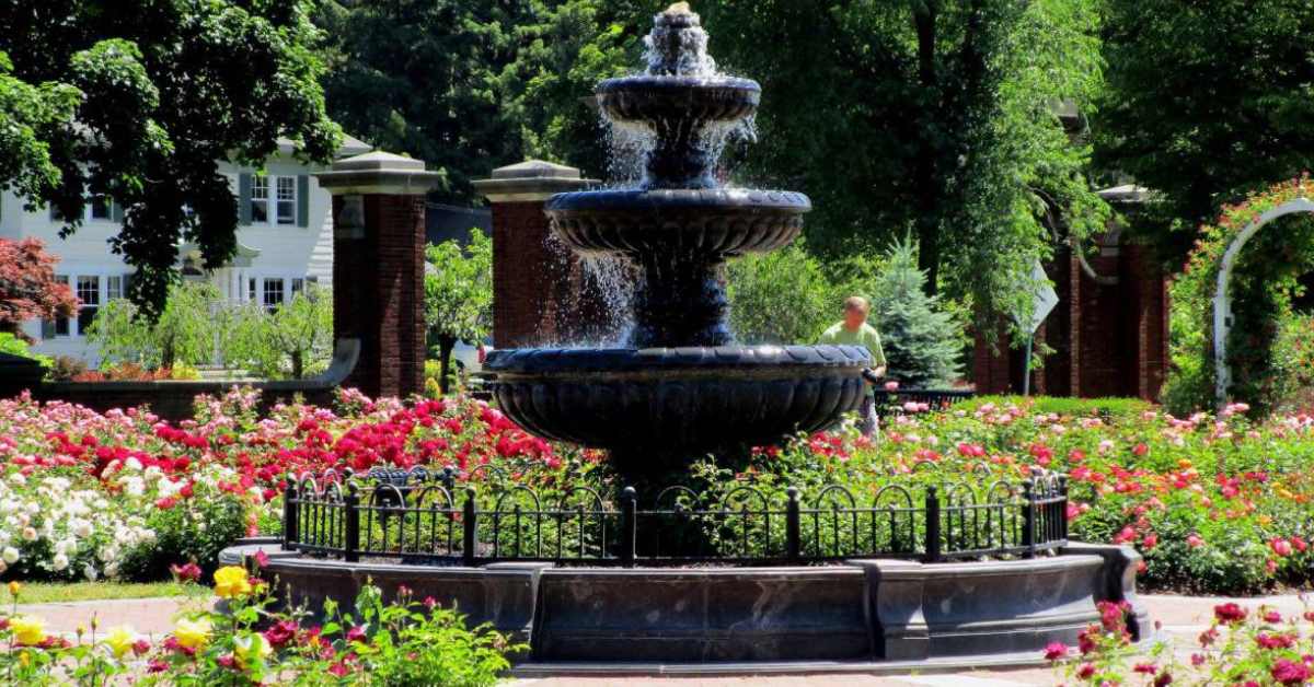 large fountain surrounded by roses
