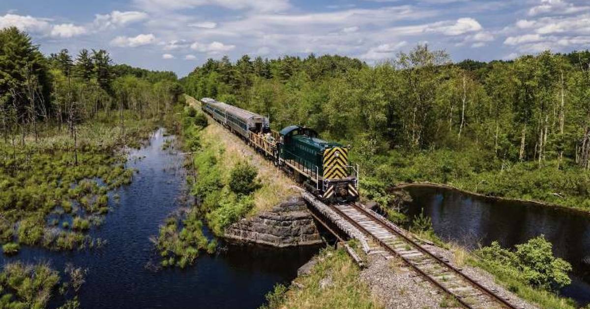 train going down the tracks over a pond in the woods