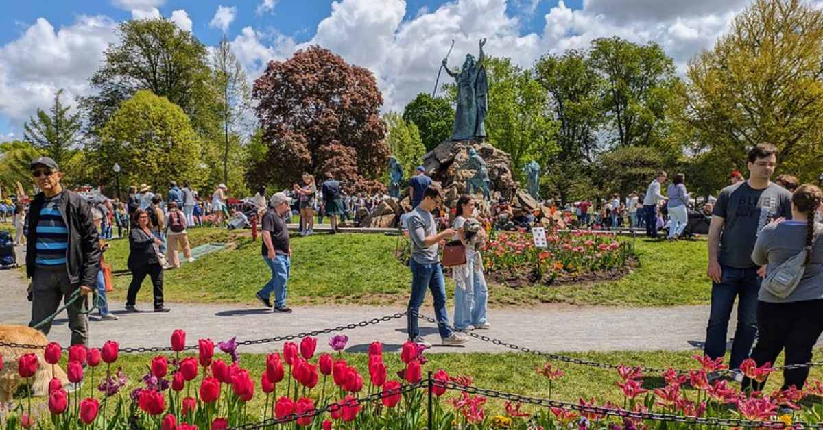 people walking around a tulip festival in a park