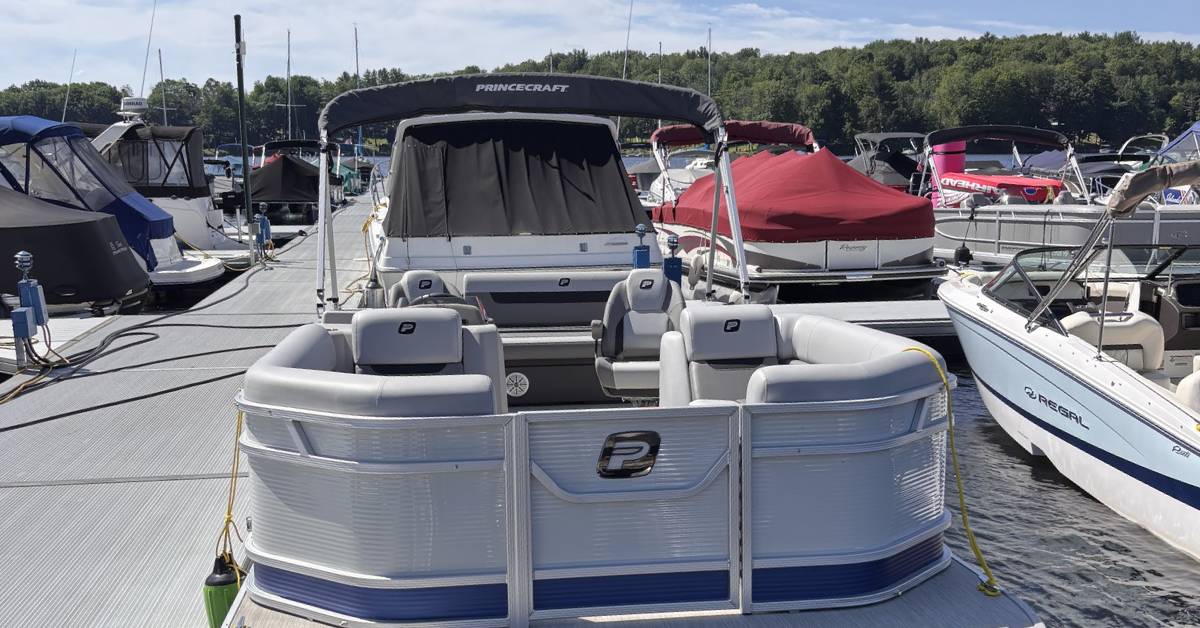 docked boats