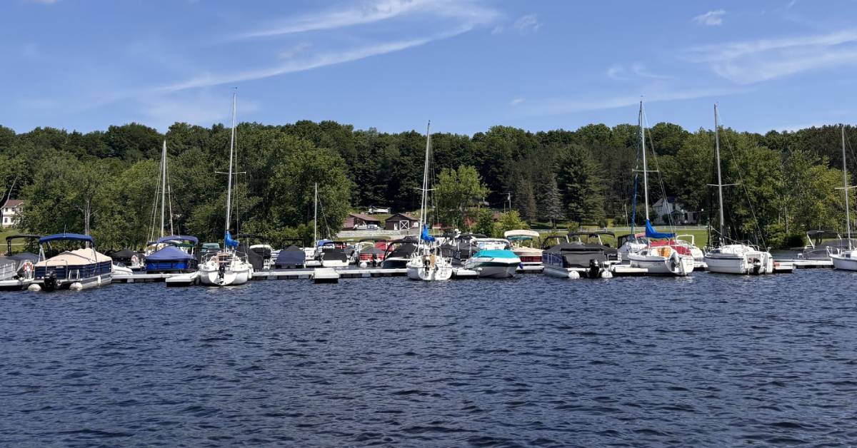boats