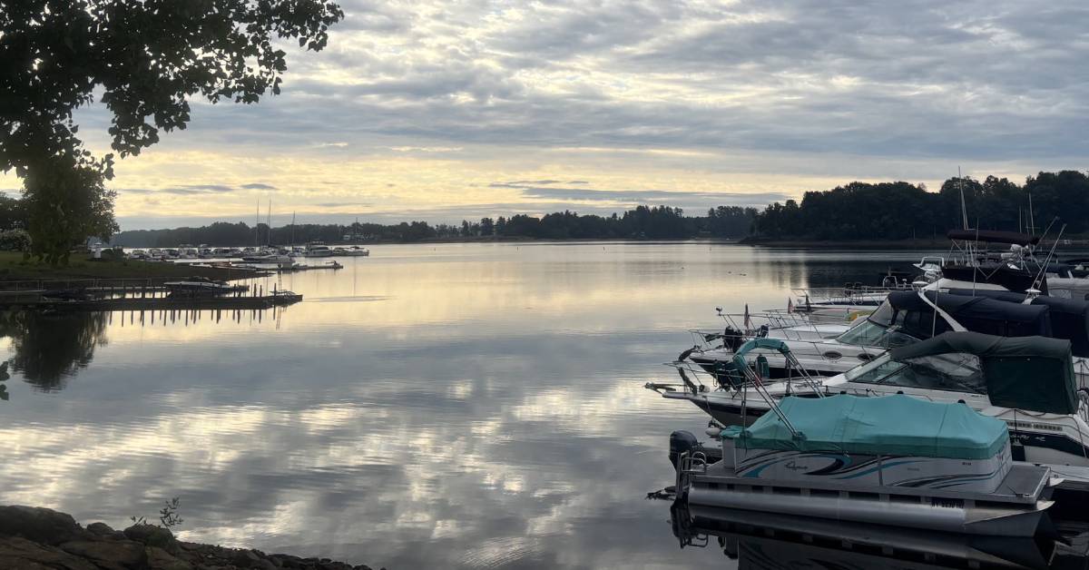 docked boats