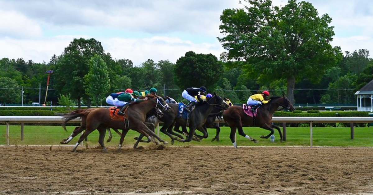 horses running on track in saratoga
