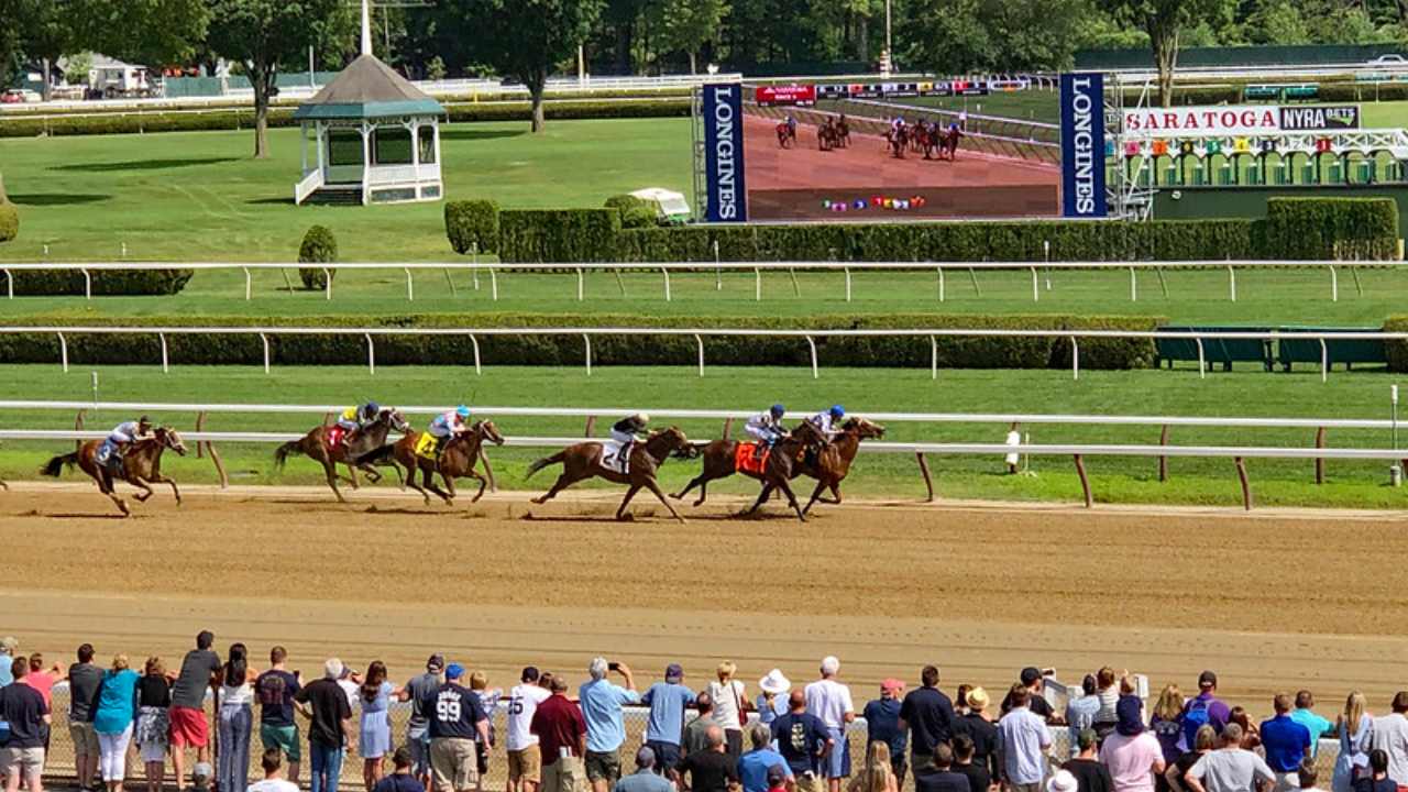 horses racing at saratoga race course