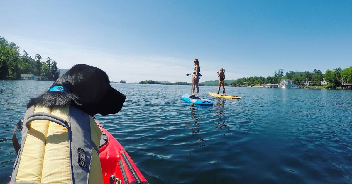 a dog on kayak, and two SUPers on a lake