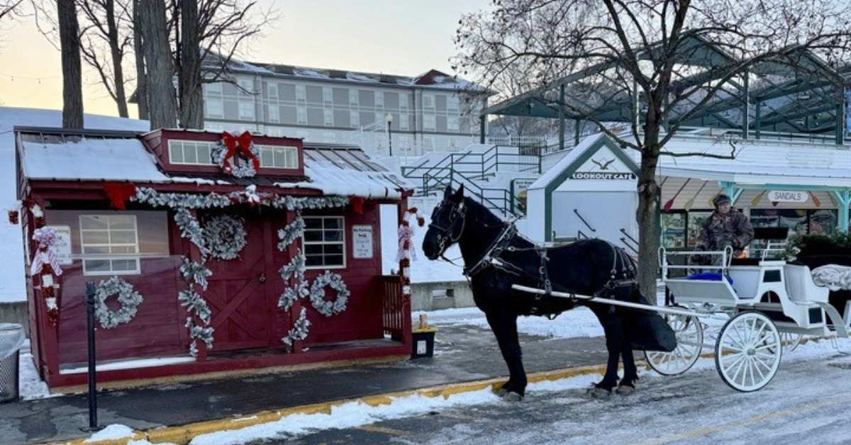 a carriage company in winter on a street