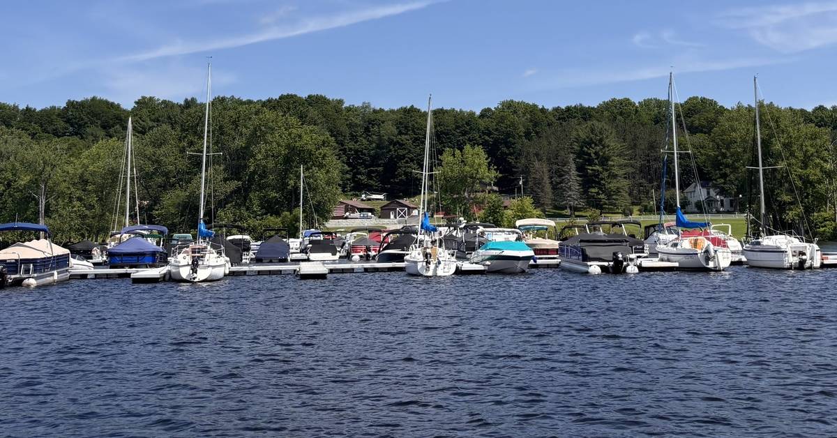 boats in water