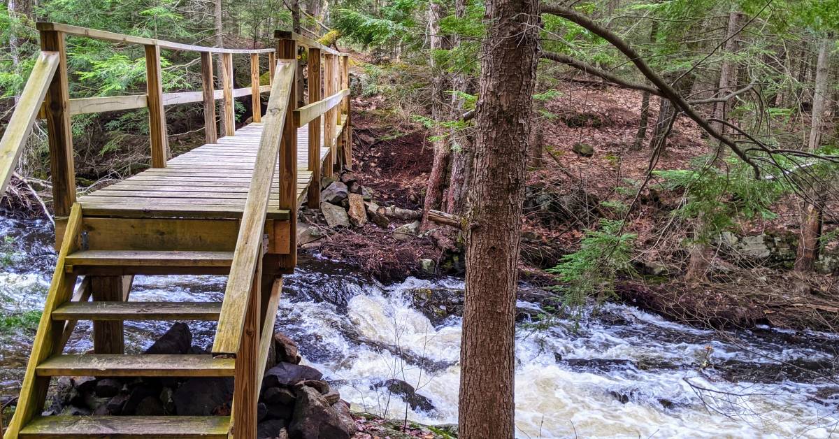 hiking bridge over water