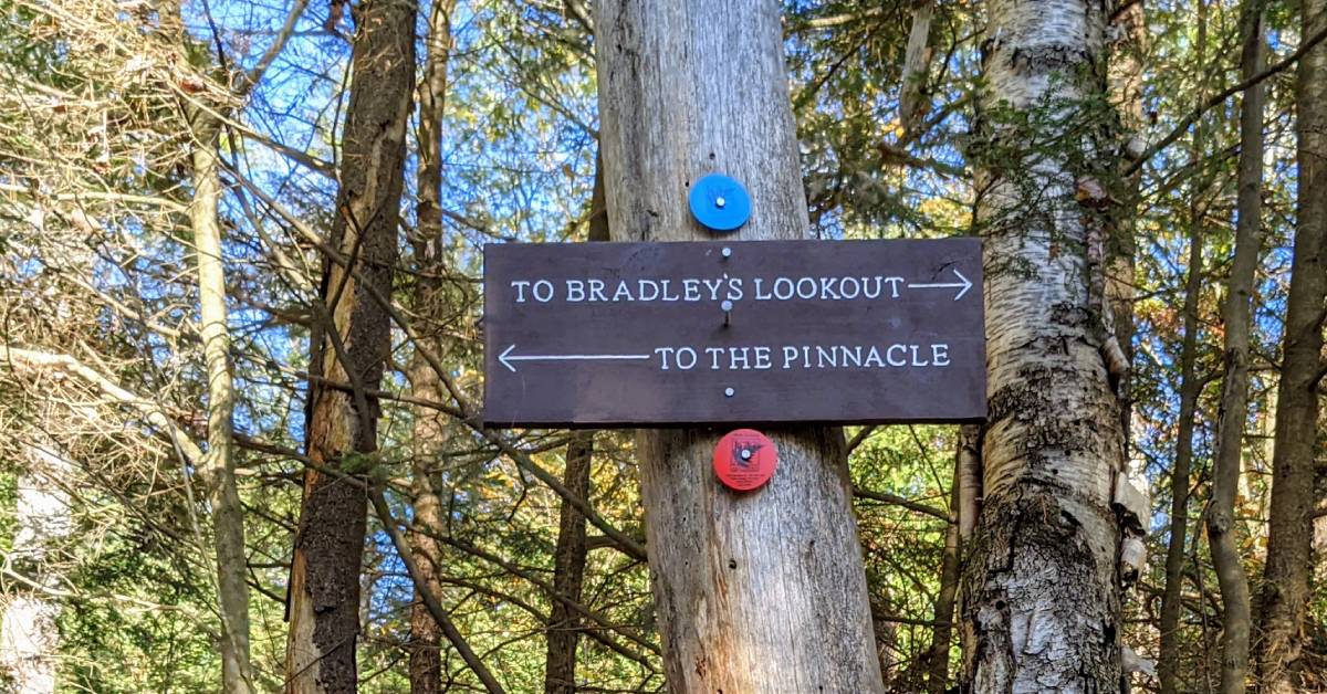 sign on tree pointing to either bradley's lookout or the pinnacle