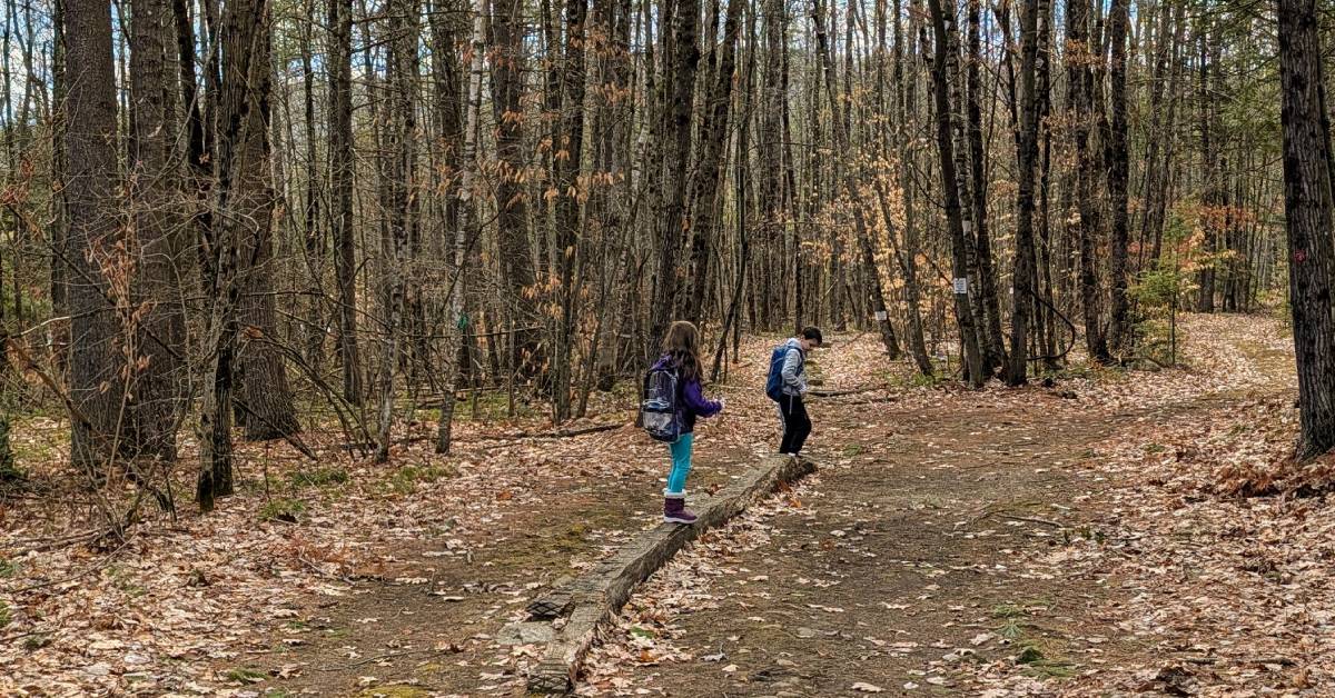 kids on trail in woods