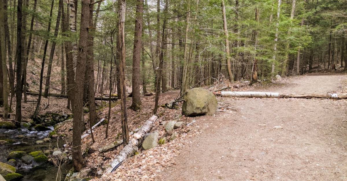 trail in woods by stream