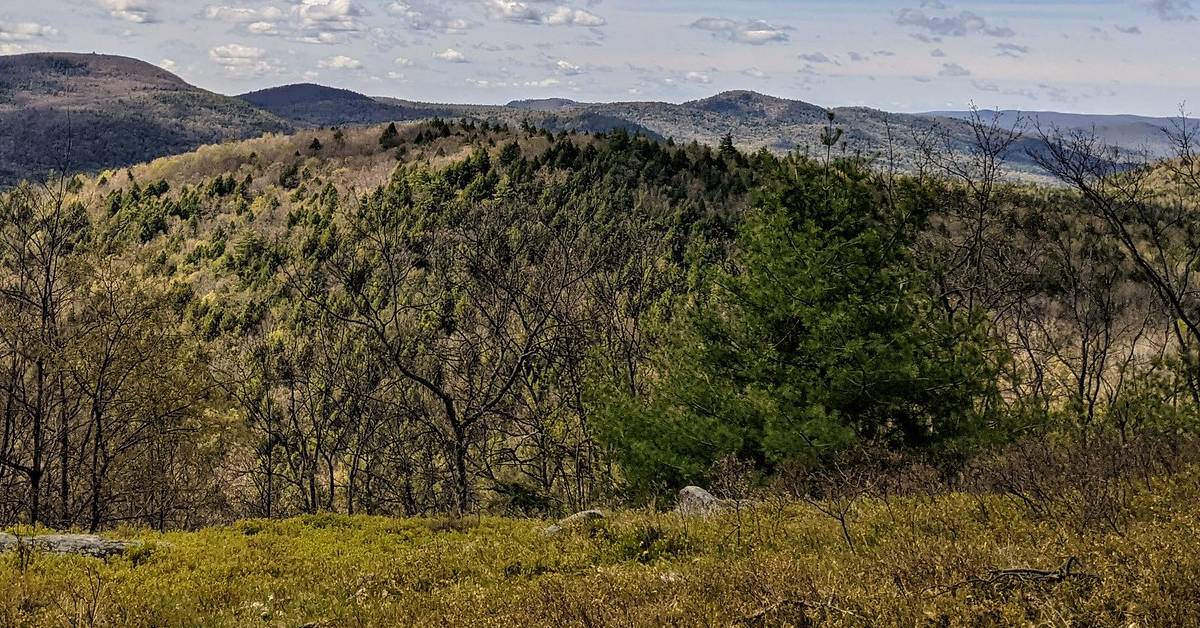 mountain views in spring