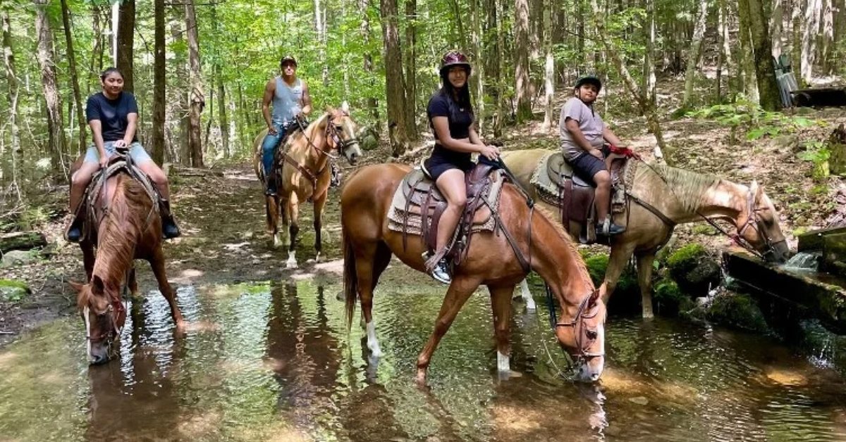 people horseback riding through a stream