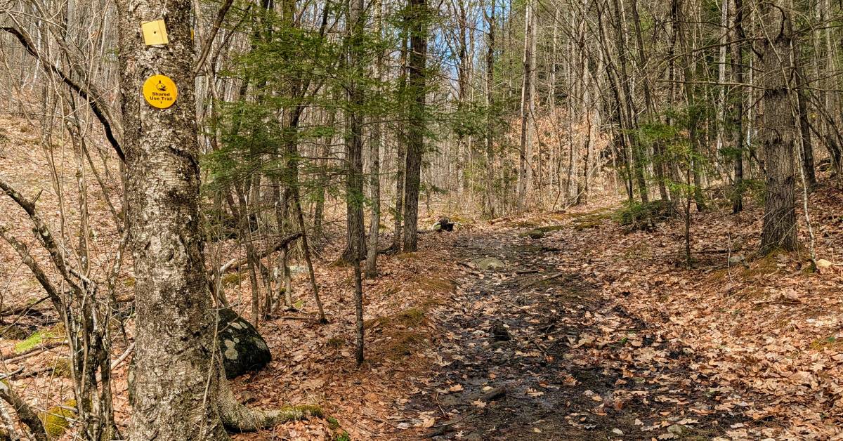 muddy hiking trail