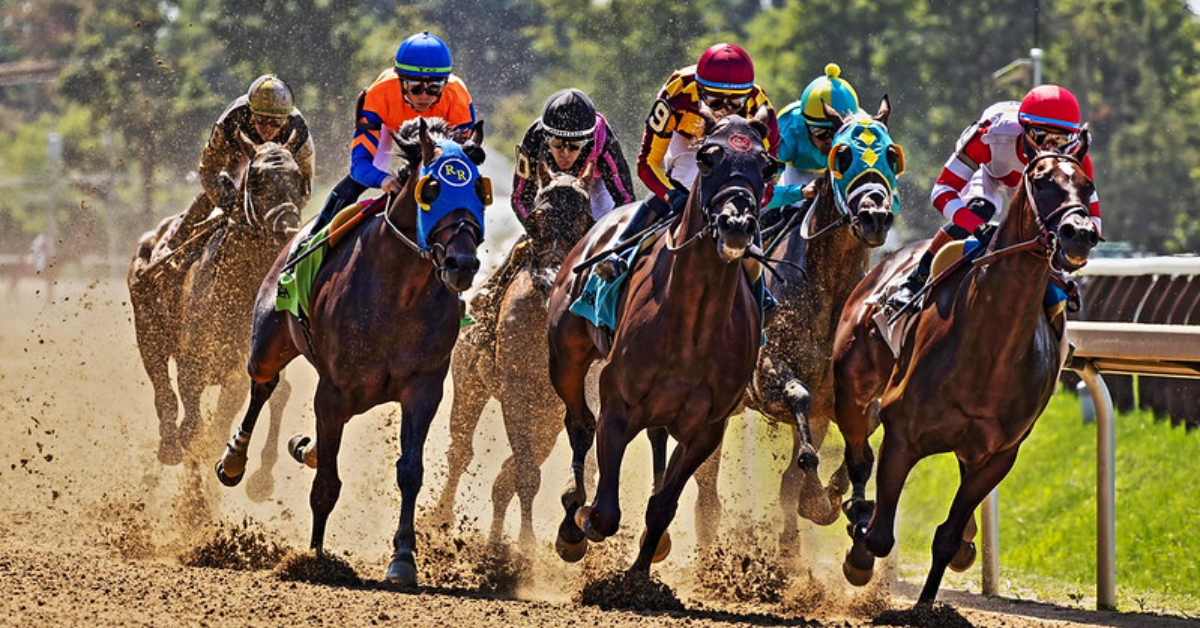 racehorses at saratoga