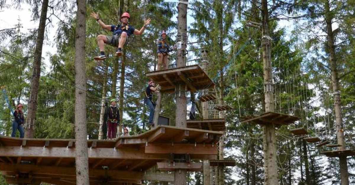 people climbing on the treetop adventure course