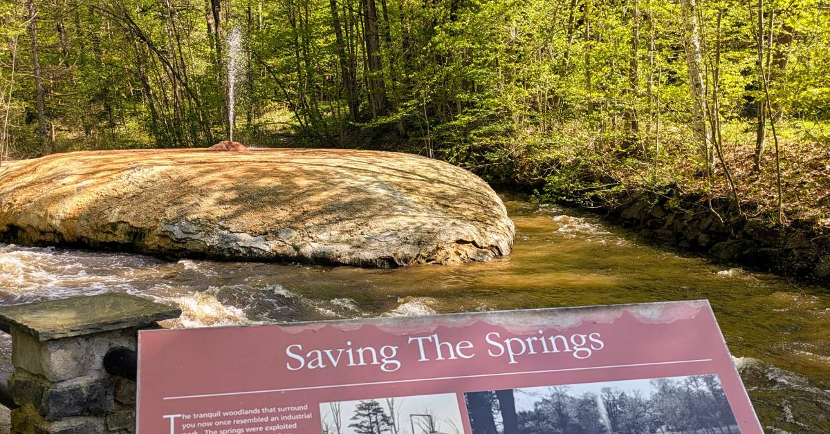 geyser spring