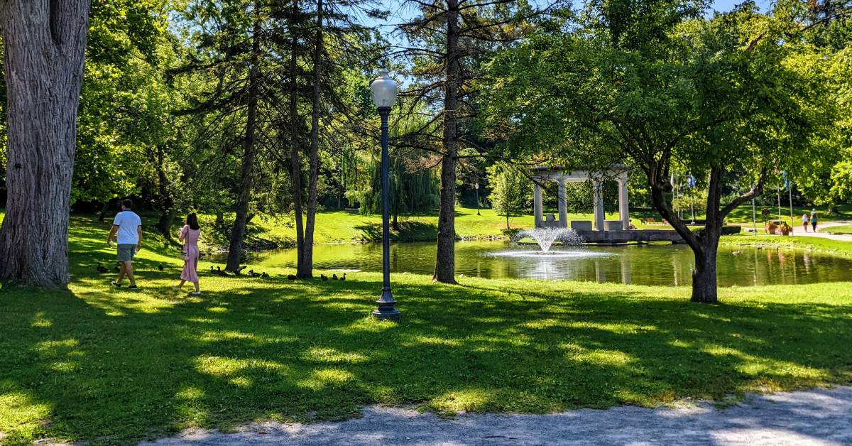 congress park couple walks by ducks and fountain