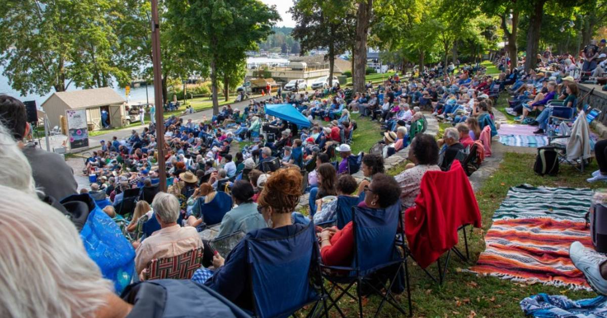 crowd at outdoor concert