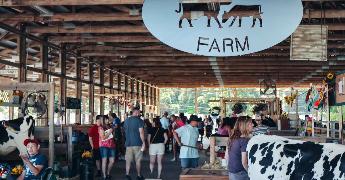a dairy barn at a fair