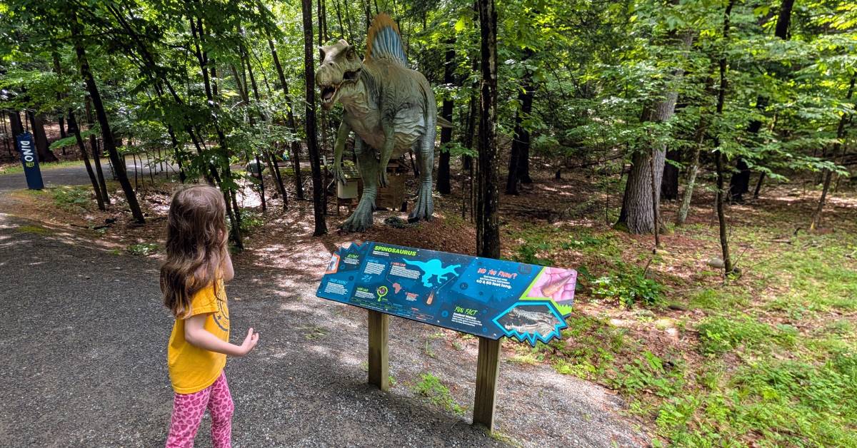 little girl looks at dinosaur
