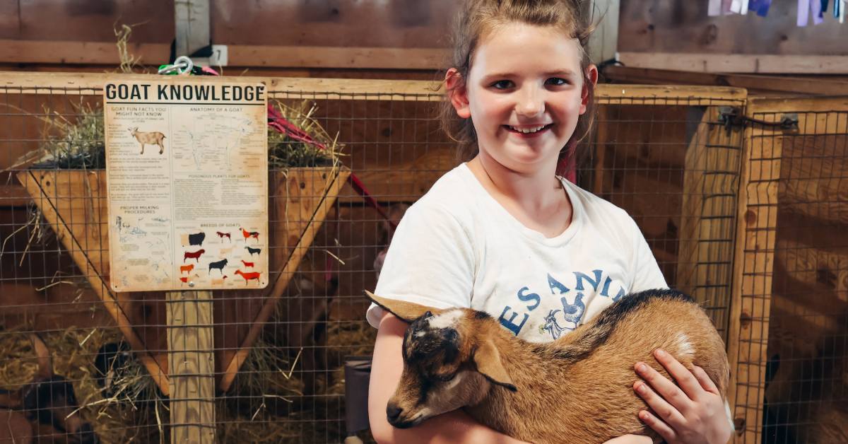 a girl holding a baby brown goat