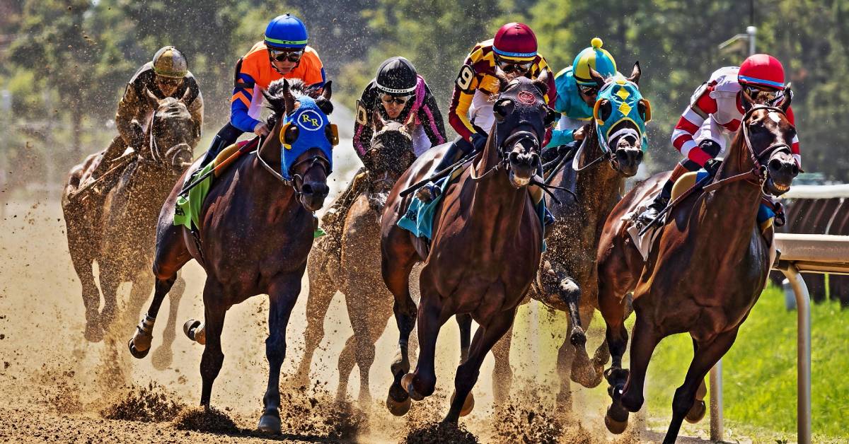 horses racing at the track