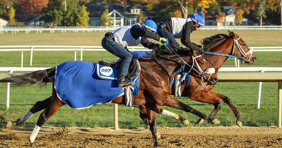 two horses racing