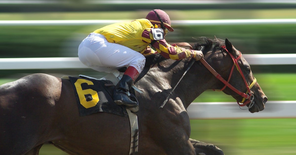 jockey on a racehorse