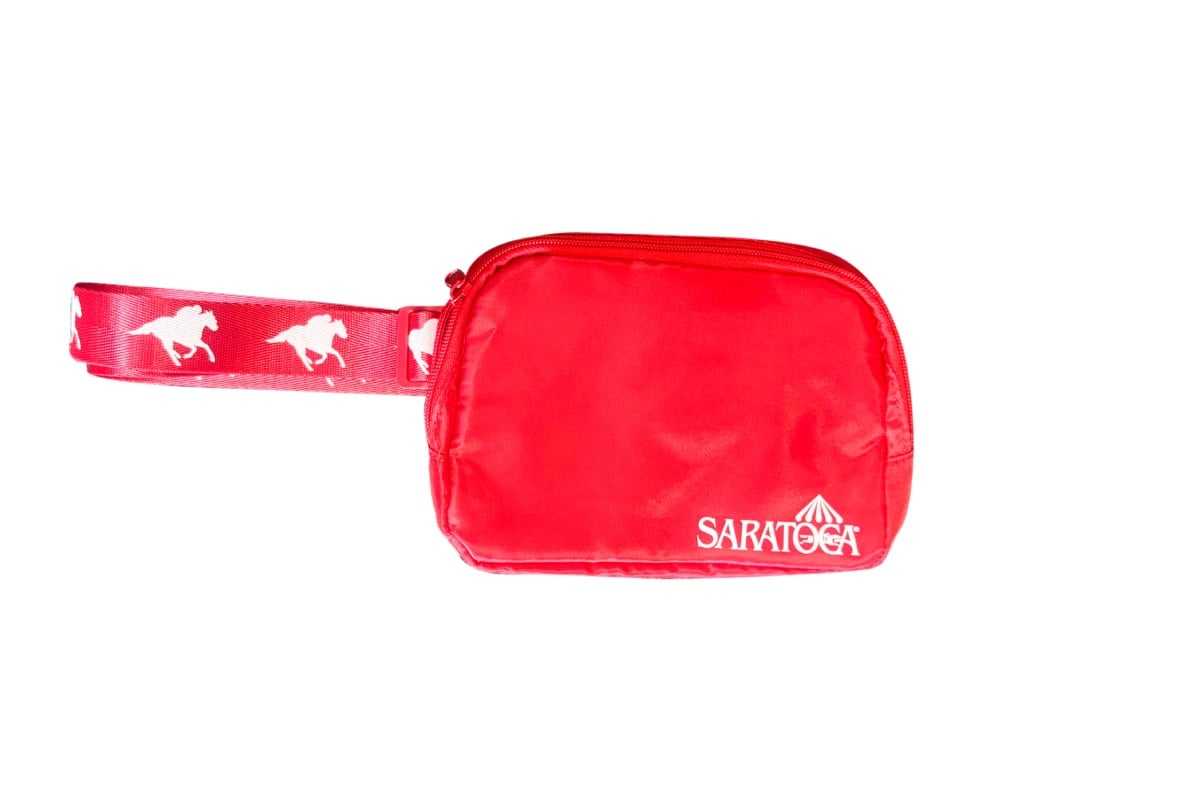 saratoga bag