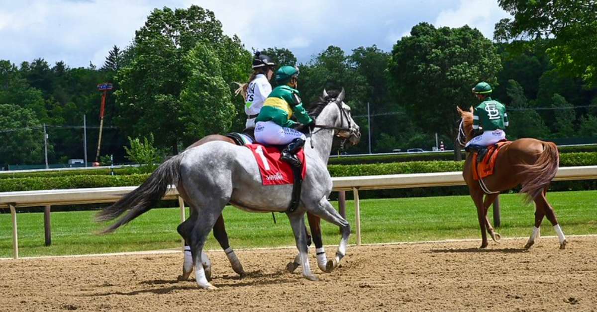 three horses walking on a racetrack