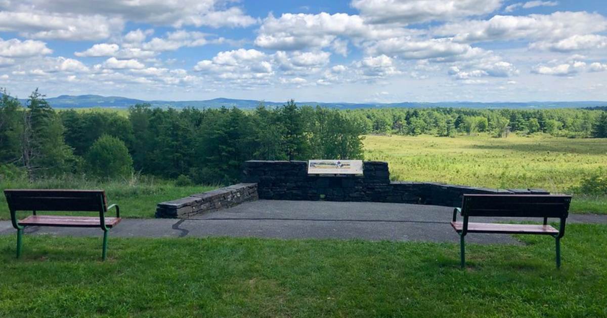 two benches facing a field