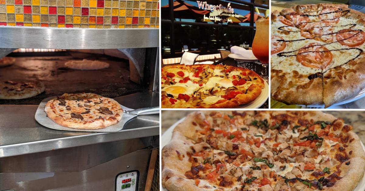 collage of pizzas