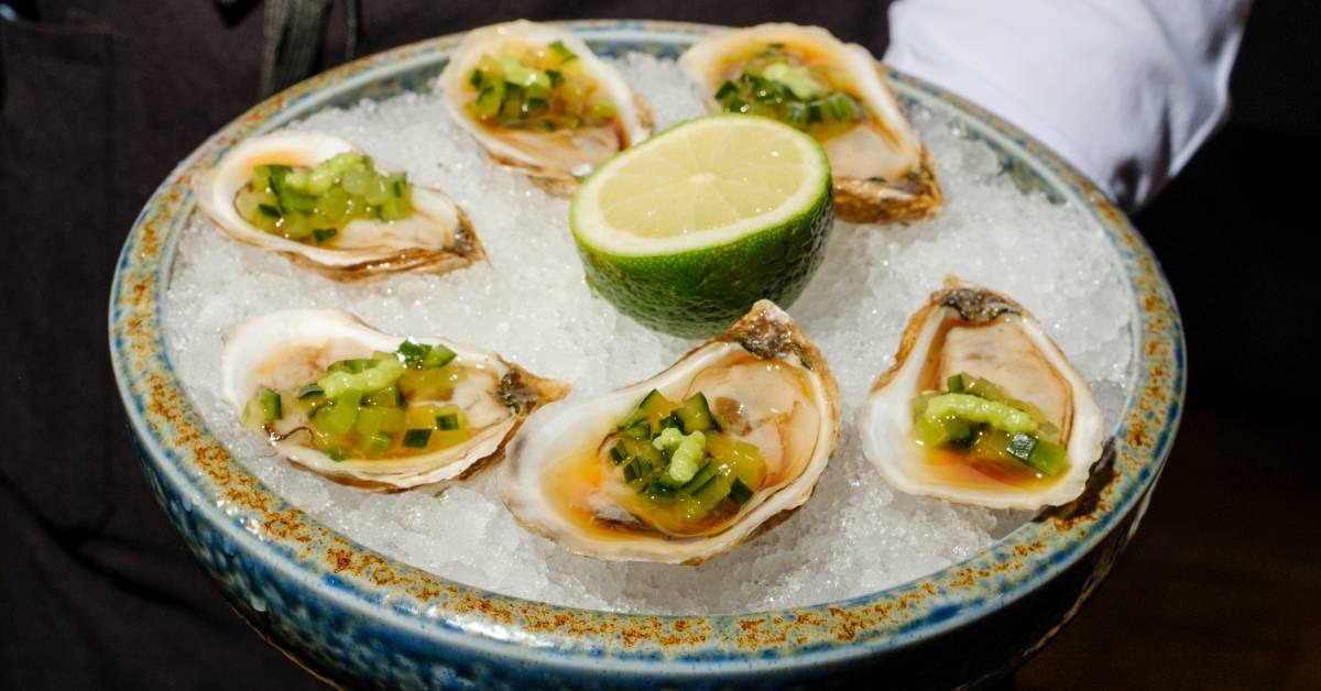 plate of oysters