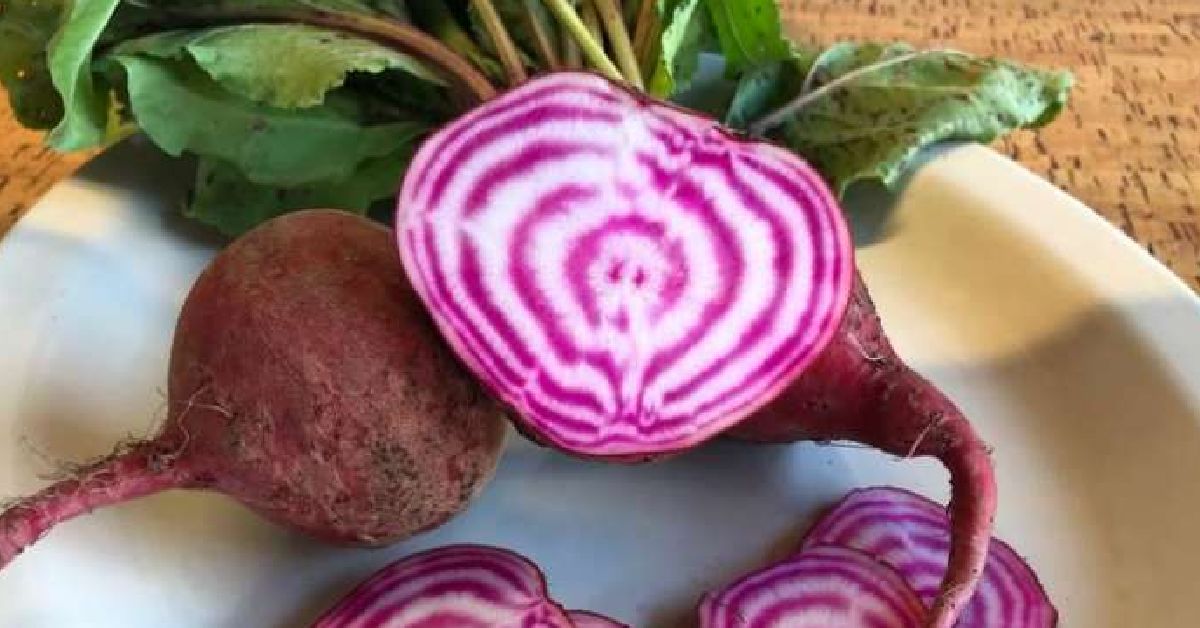 fresh vegetables on a plate