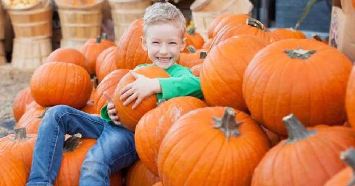 kid sitting in a pile of pumpkins
