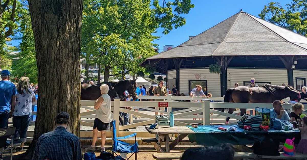 people in Saratoga Race course picnic area watching the horses walk by
