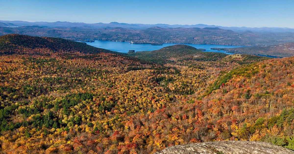 orange yellow leaves on trees from summit view of landscape and a lake
