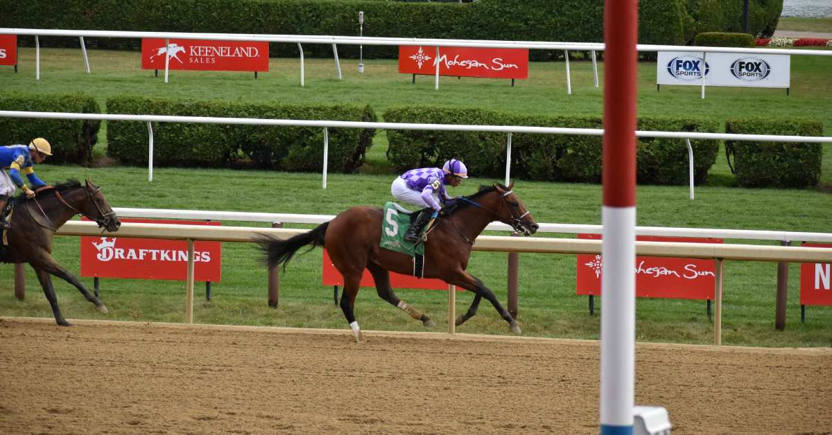 horses racing on a track