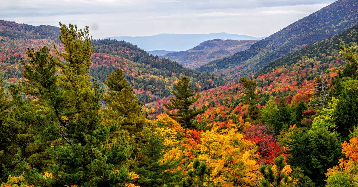 fall view from summit