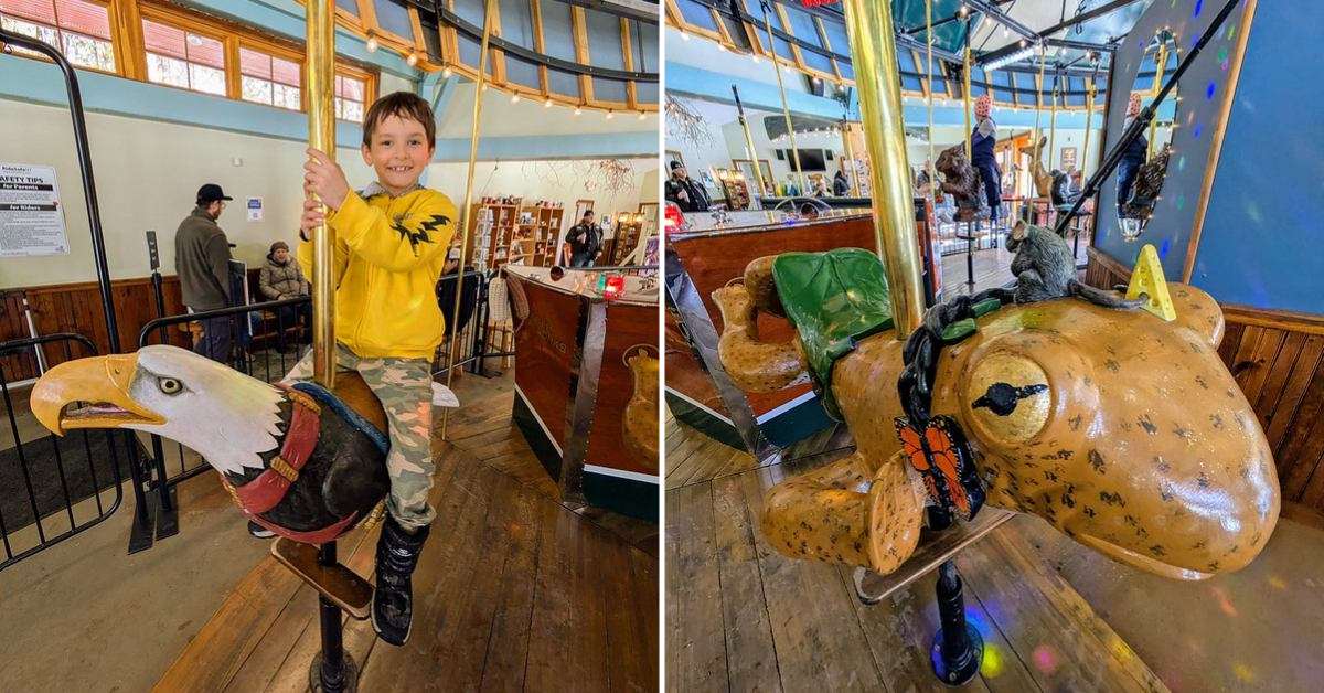 left image of boy riding a carousel, right image of a salamander carousel seat