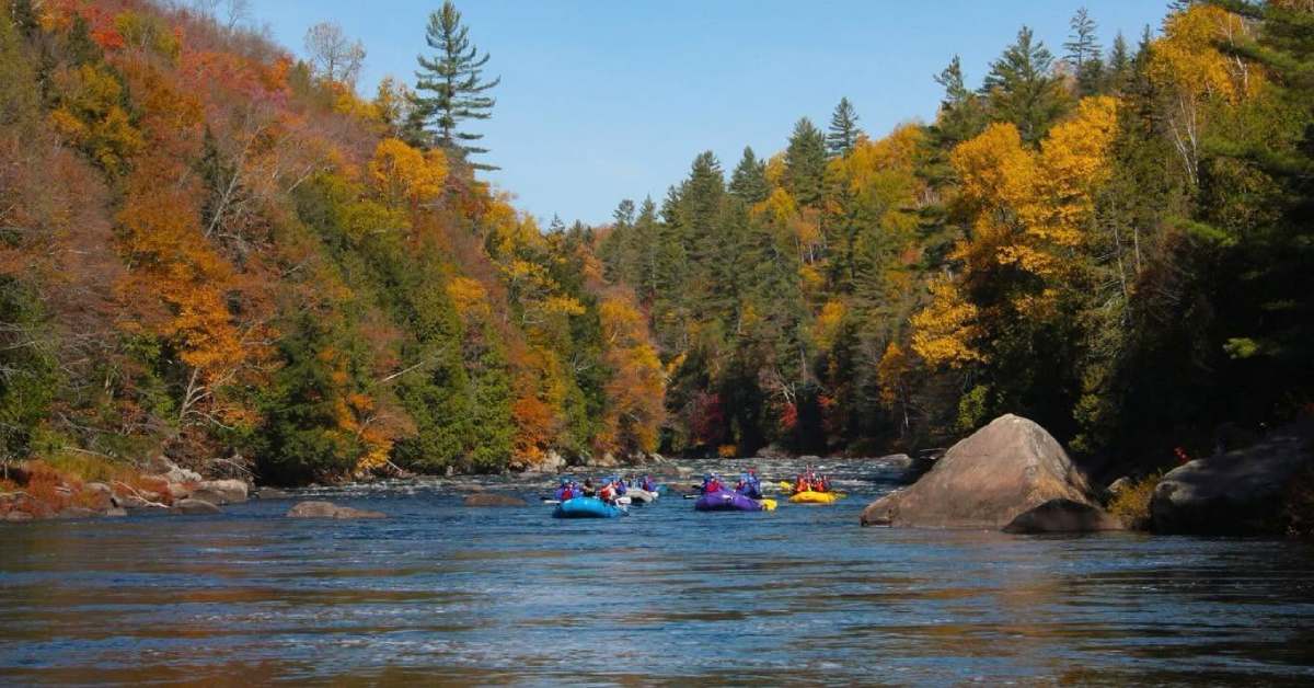 calm rafting during the fall season in the woods